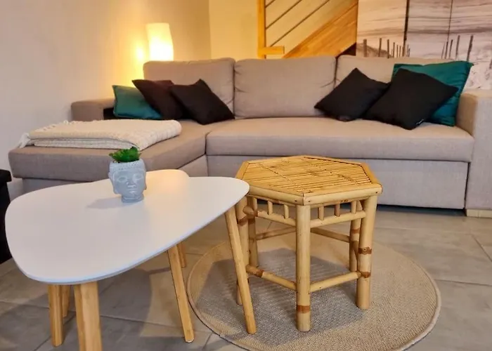 La De Mimimael Duplex 4 Pers Proche Ocean Mimizan-Plage