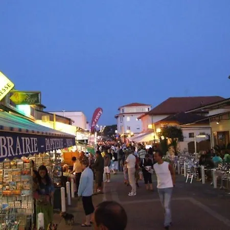 La De Mimimael Duplex 4 Pers Proche Ocean * Mimizan-Plage